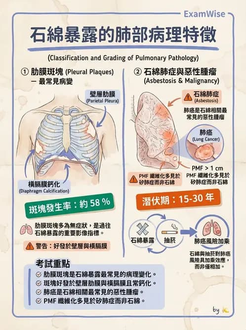 放射 - 呼吸系統疾病 - AI 圖文解析預覽