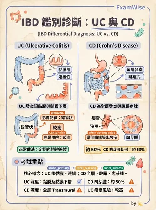 放射 - 口腔及腸胃道疾病 - AI 圖文解析預覽