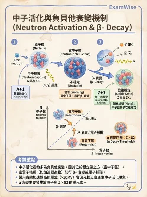 放射 - 放射性蛻變模式 - AI 圖文解析預覽