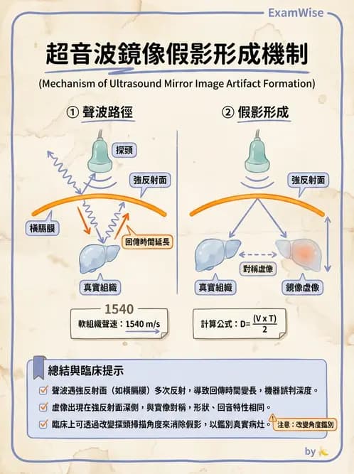 放射 - 超音波成像與都卜勒 - AI 圖文解析預覽