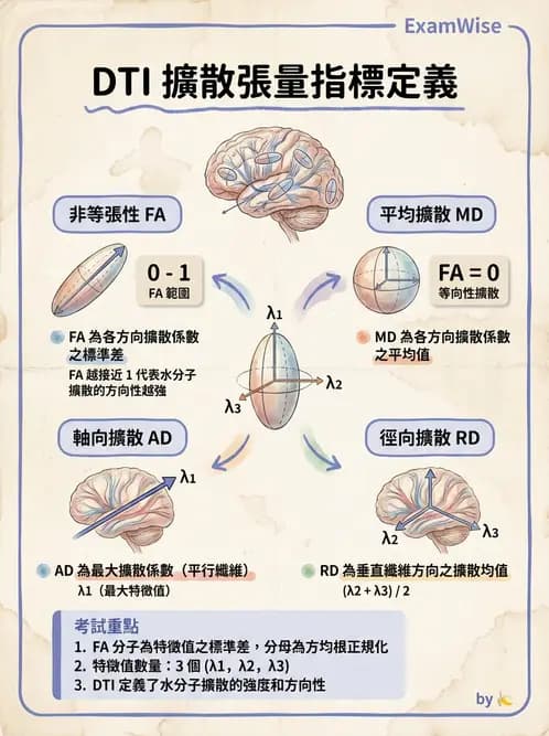 放射 - 空間編碼與影像品質 - AI 圖文解析預覽