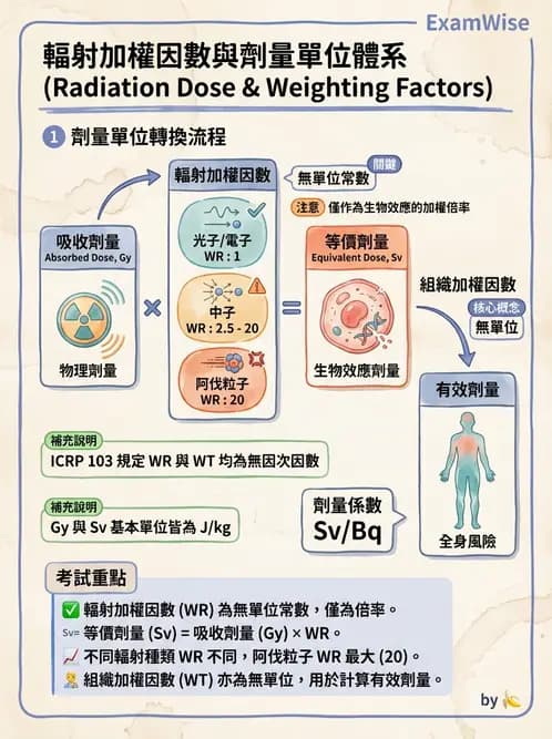 放射 - 輻射防護劑量量 - AI 圖文解析預覽
