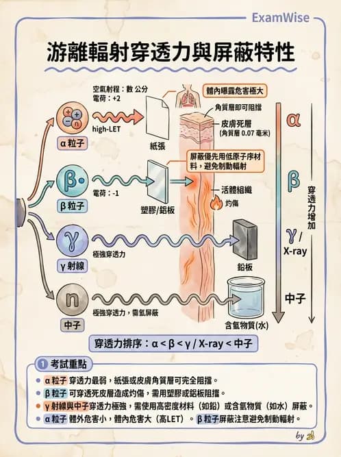 放射 - 帶電粒子與中子和物質作用 - AI 圖文解析預覽