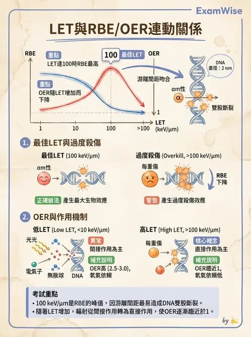放射 - 輻射物理生物基礎 - AI 圖文解析預覽