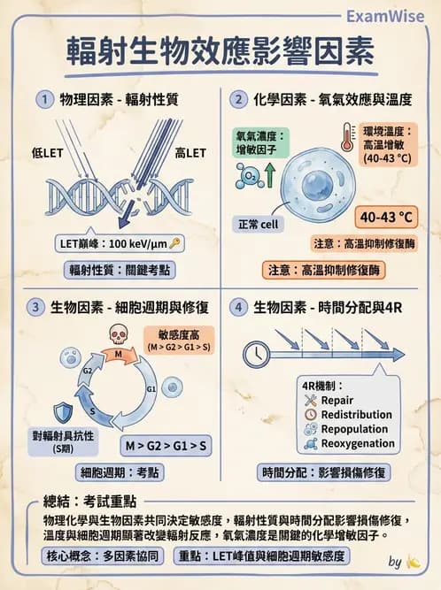 放射 - 輻射物理生物基礎 - AI 圖文解析預覽