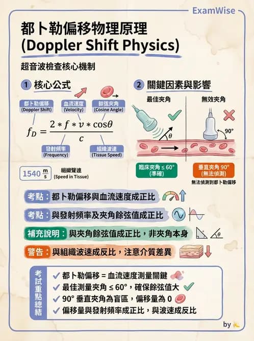 放射 - 都普勒超音波 - AI 圖文解析預覽