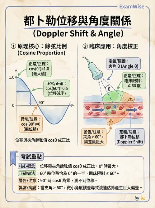 放射 - 都普勒超音波 - AI 圖文解析預覽