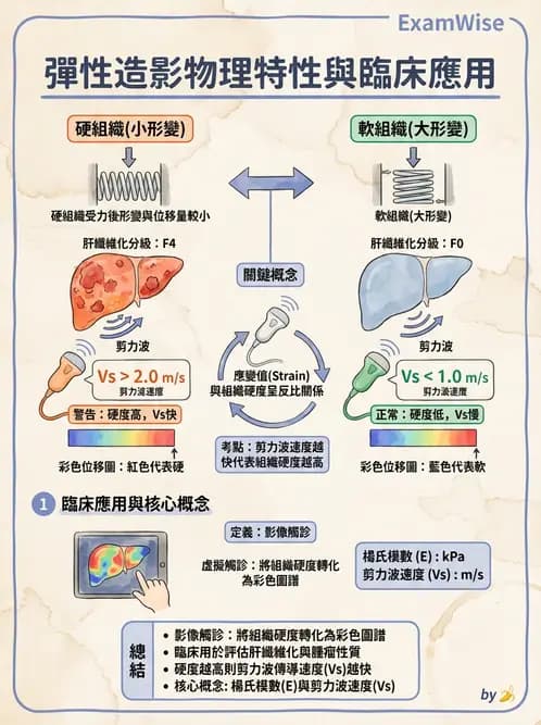 放射 - 超音波進階成像與假影 - AI 圖文解析預覽