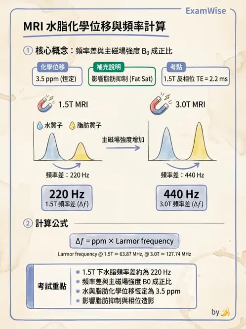 放射 - 主磁場、磁鐵類型與勻場 - AI 圖文解析預覽
