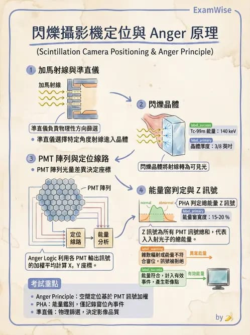 平面影像 - 影像儀器設備 - AI 圖文解析預覽