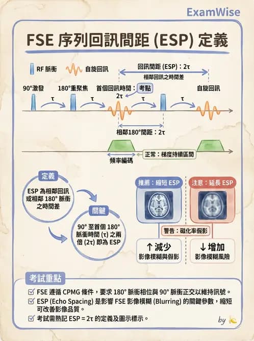 放射 - 梯度線圈與空間編碼 - AI 圖文解析預覽
