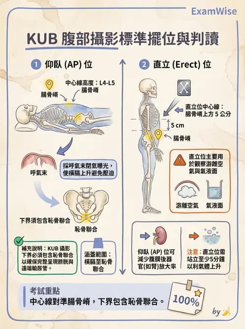放射 - 軀幹四肢攝影技術 - AI 圖文解析預覽