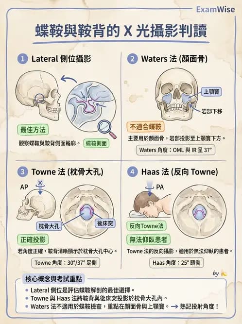 放射 - 頭頸脊椎攝影技術 - AI 圖文解析預覽