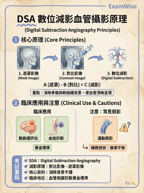 放射 - 血管攝影原理與解剖 - AI 圖文解析預覽