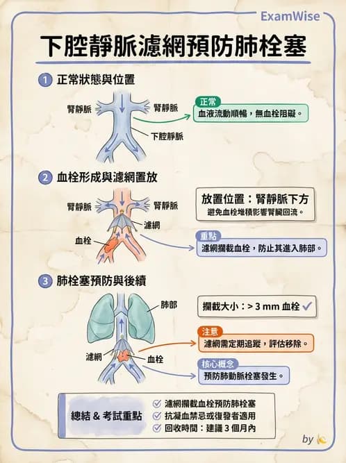 放射 - 導管技術與介入性治療 - AI 圖文解析預覽