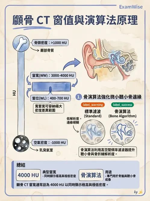 放射 - 頭頸部CT診斷 - AI 圖文解析預覽