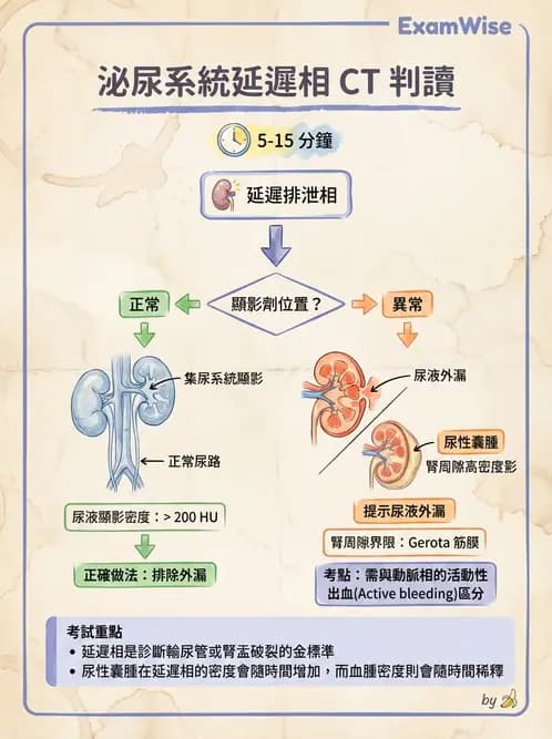 放射 - 胸腹部CT診斷 - AI 圖文解析預覽