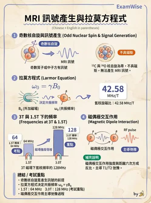 放射 - 磁振造影原理 - AI 圖文解析預覽