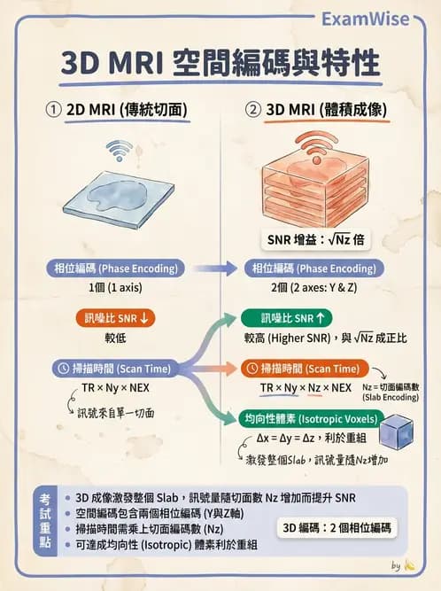放射 - MRI脈衝序列與訊號技術 - AI 圖文解析預覽