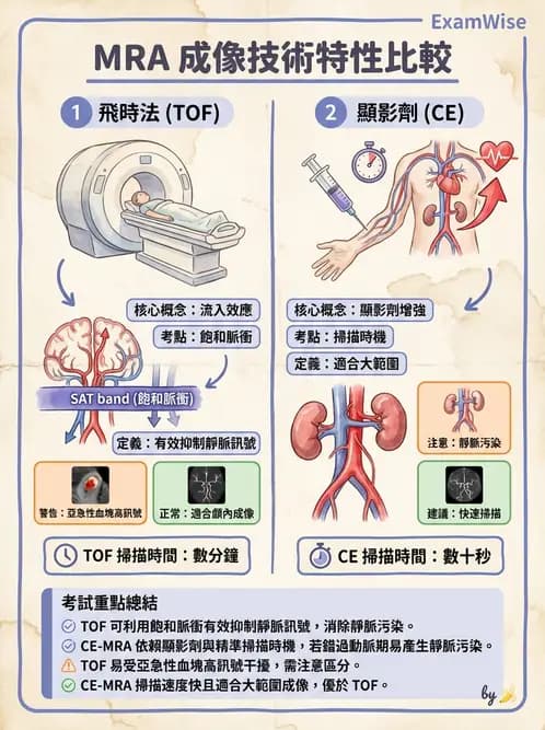放射 - MR進階影像與臨床應用 - AI 圖文解析預覽