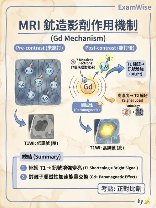 放射 - MRI安全與顯影劑 - AI 圖文解析預覽