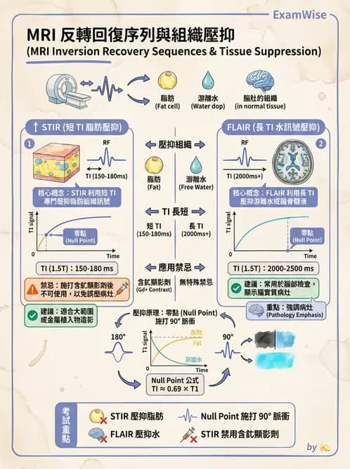 放射 - MRI脈衝序列與訊號技術 - AI 圖文解析預覽