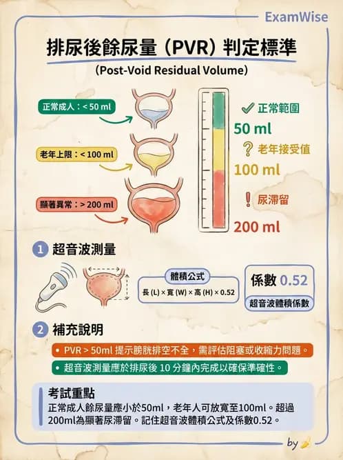 放射 - 泌尿生殖與小器官超音波 - AI 圖文解析預覽