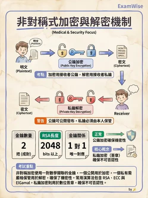 放射 - PACS、DICOM與遠距醫學 - AI 圖文解析預覽