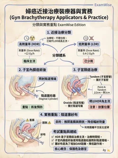 放射 - 腔內近接治療 - AI 圖文解析預覽