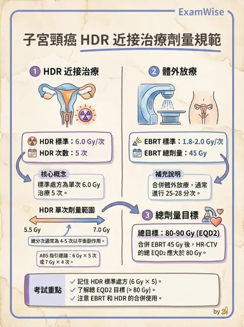 放射 - 腔內近接治療 - AI 圖文解析預覽