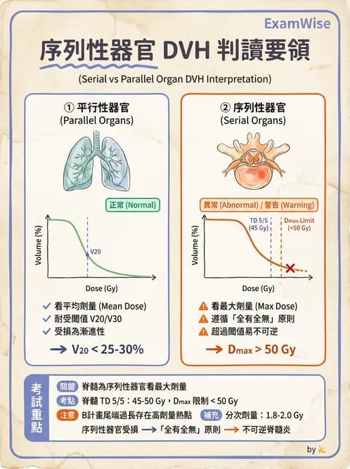 放射 - 放射治療靶區與劑量規範 - AI 圖文解析預覽