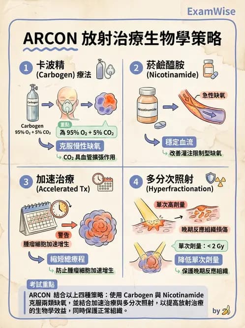 放射 - 輻射增敏與保護 - AI 圖文解析預覽