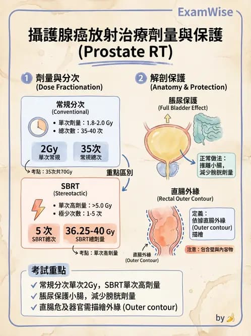 放射 - 疾病部位計畫與危急器官保護 - AI 圖文解析預覽