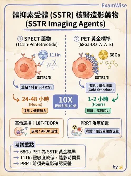 放射 - 腫瘤與內分泌造影SPECT藥物 - AI 圖文解析預覽