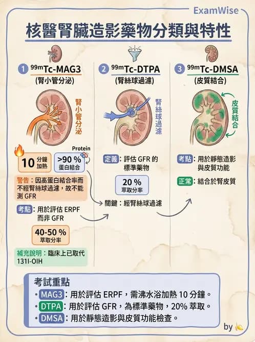 放射 - 腎臟造影SPECT藥物 - AI 圖文解析預覽