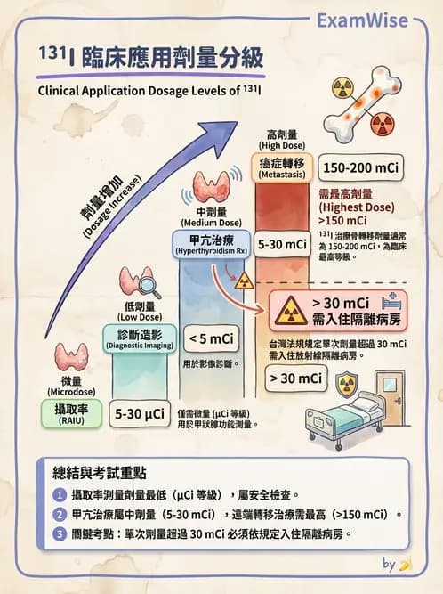 放射 - 治療用核醫藥物 - AI 圖文解析預覽