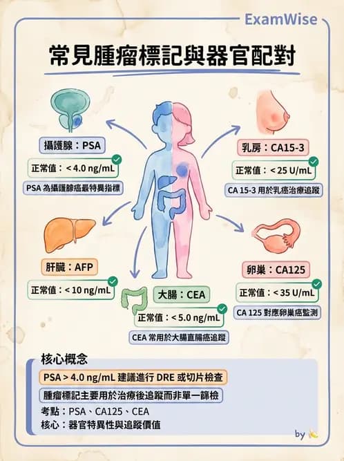 放射 - 免疫分析品管與臨床應用 - AI 圖文解析預覽