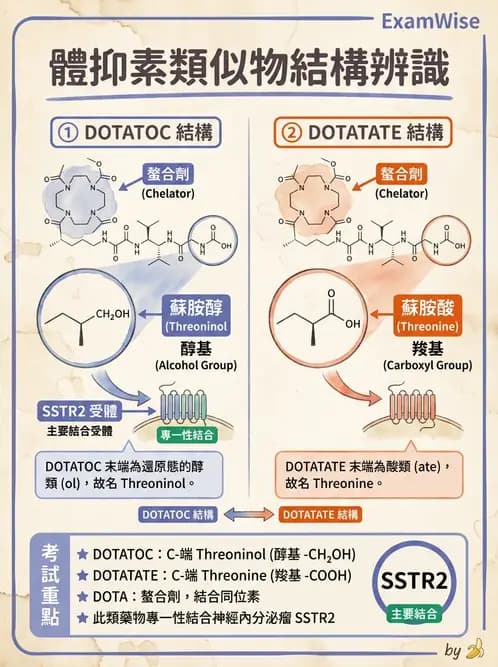 放射 - 腫瘤PET藥物 - AI 圖文解析預覽