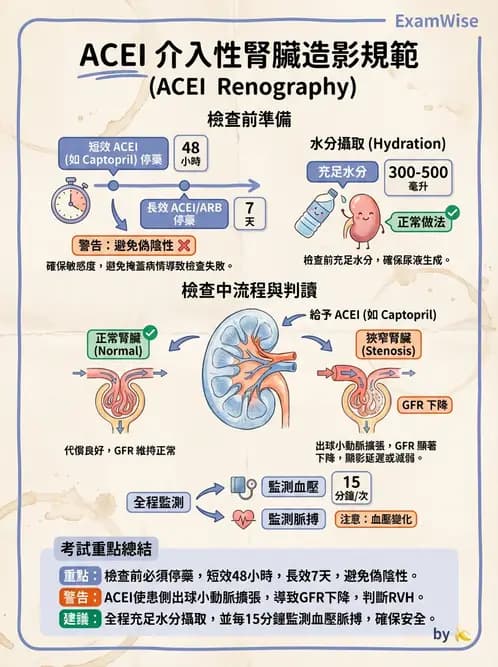 放射 - 腎臟造影 - AI 圖文解析預覽
