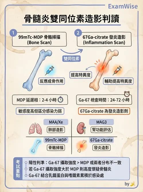 放射 - 骨骼造影 - AI 圖文解析預覽