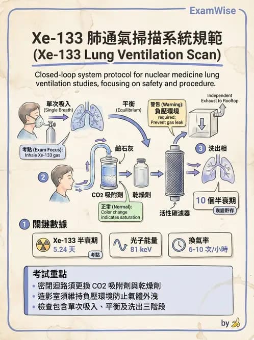 放射 - 肺部與感染造影 - AI 圖文解析預覽