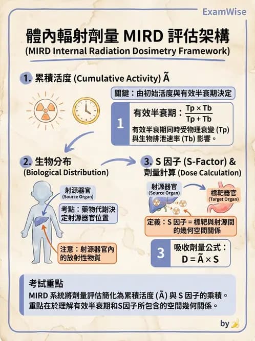 放射 - 體內吸收劑量 - AI 圖文解析預覽