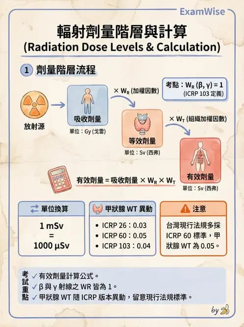 放射 - 體內吸收劑量 - AI 圖文解析預覽