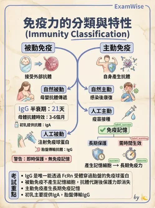 營養 - 血液與免疫 - AI 圖文解析預覽