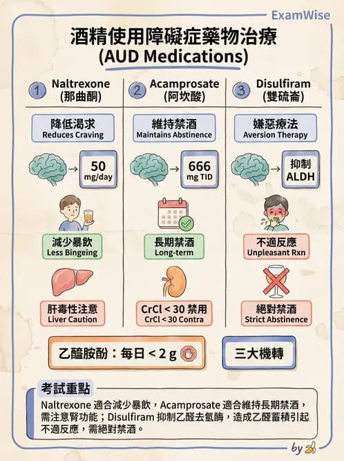 護理師 - 精神科藥物 - AI 圖文解析預覽