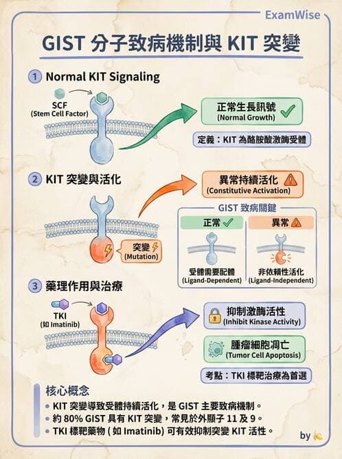護理師 - 腫瘤及遺傳疾病 - AI 圖文解析預覽