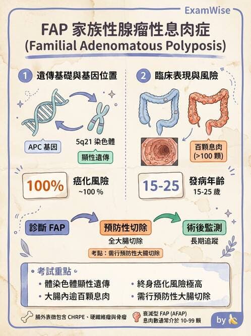護理師 - 消化及肝膽/胰系統 - AI 圖文解析預覽