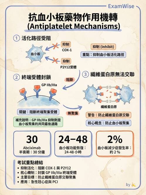 護理師 - 心臟藥物與抗血栓劑 - AI 圖文解析預覽