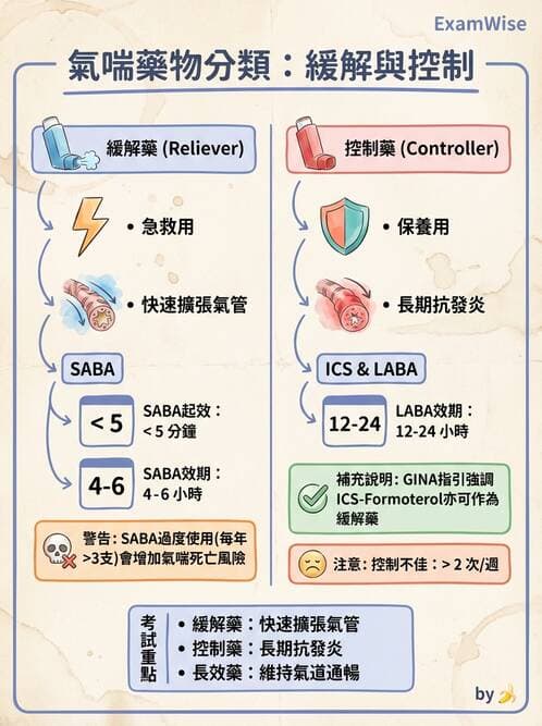 護理師 - 呼吸道及胃腸道作用藥物 - AI 圖文解析預覽