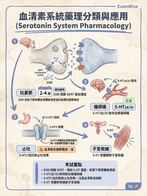 護理師 - 精神科藥物 - AI 圖文解析預覽